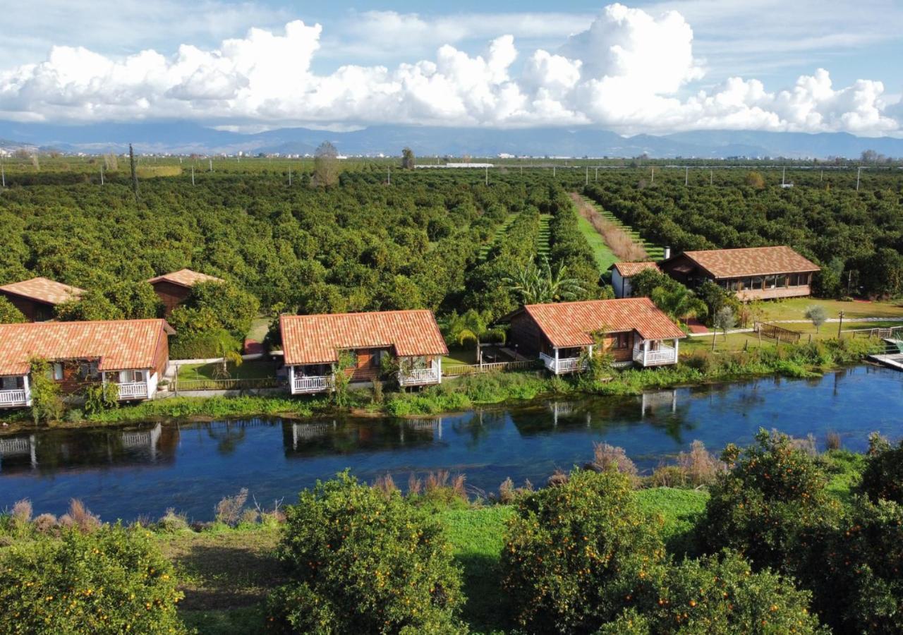 Turkuazkoey Guest House Finike Exterior photo